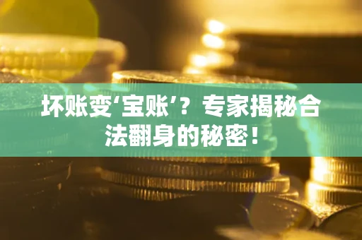 北京坏账变‘宝账’？专家揭秘合法翻身的秘密！