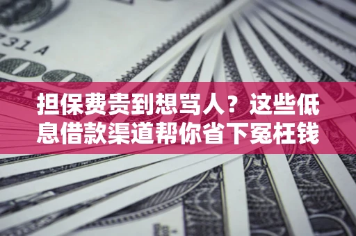 北京担保费贵到想骂人？这些低息借款渠道帮你省下冤枉钱