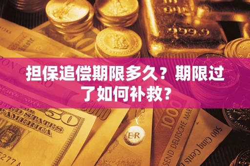 北京担保追偿期限多久？期限过了如何补救？