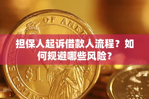 北京担保人起诉借款人流程？如何规避哪些风险？