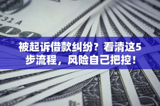 北京被起诉借款纠纷？看清这5步流程，风险自己把控！